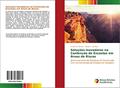 Ler Soluções Inovadoras na Contenção de Encostas em Áreas de Riscos: Gerenciamento de Resíduos de Construção Civil na Contenção de Erosões em Anápolis, do autor Ernane R. Martins; Welvis F. da Silva Ler Soluções Inovadoras na Contenção de Encostas em Áreas de Riscos: Gerenciamento de Resíduos de Construção Civil na Contenção de Erosões em Anápolis, do autor Ernane R. Martins; Welvis F. da Silva