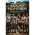 Ler Por Dentro de Maze Runner. O Guia da Clareira, do autor Veronica Deets