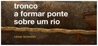 Ler Tronco A Formar Ponte Sobre Um Rio, do autor CÃ©sar BrandÃ£o