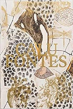 Calu Fontes: Camadas, contornos e relevos, do autor Calu Fontes