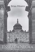 Ler Enseada Negra, do autor Brias Ribeiro