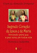 Ler Sagrado Coração de Jesus e de Maria: Invocado para que a paz reine em todos nós - Novena e ladainha, do autor Elam de Almeida Pimentel