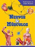 Ler Curiosidades do Corpo Humano Nervos e Músculos, do autor Vários Autores Ler Curiosidades do Corpo Humano Nervos e Músculos, do autor Vários Autores