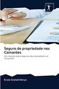 Ler Seguro de propriedade nos Camarões: Um manual sobre seguros de propriedade nos Camarões, do autor Enow Godwill Baiye