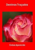 Ler Destinos Tracados, do autor Enéas Aparecido