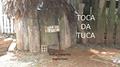 Ler A toca da Tuca, do autor Angela Natel