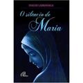 Ler O silêncio de Maria, do autor Ignácio Larrañaga