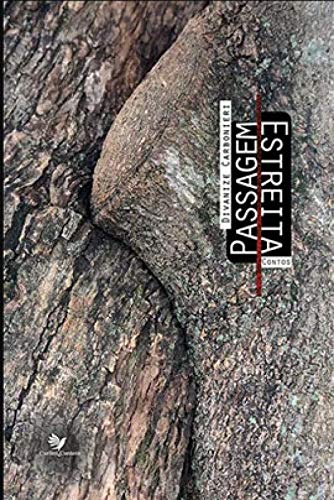 Ler PASSAGEM ESTREITA - CONTOS, do autor DIVANIZE CARBONIERI