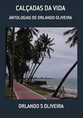 Ler Calcadas da Vida, do autor Orlando S Oliveira