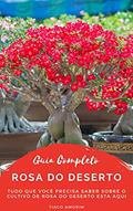 Ler Guia Completo - Rosa do deserto, do autor Tiago Amorim Ler Guia Completo - Rosa do deserto, do autor Tiago Amorim