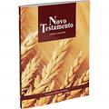 Ler Novo Testamento: Nova Tradução na Linguagem de Hoje (NTLH), do autor Sociedade Bíblica do Brasil
