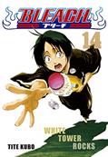 Ler Bleach vol. 14, do autor Tite Kubo