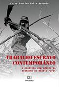 Ler Trabalho Escravo Contemporâneo: a condição degradante de trabalho no Brasil rural, do autor Érika Sabrina Felix Azevedo
