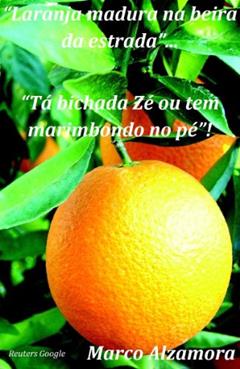 LARANJA MADURA "Tá bichada Zé... Ou tem marimbondo no pé"!, do autor Marco Alzamora