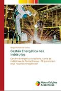 Ler Gestão Energética nas Indústrias: Cenário Energético brasileiro, como as indústrias de Ponta Grossa - PR gerenciam seus recursos enegéticos?, do autor Diego Marloni dos Santos
