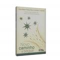 Ler Novo Caminho a Seguir, do autor Alzira Bessa França Amui; Luciano Sivieri Varanda