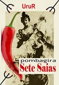 Ler Pombagira Sete Saias (A jornada da formação do conhecimento espiritual do médium UruR dentro da Umbanda), do autor UruR
