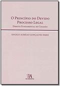 Ler O Princípio do Devido Processo Legal: Direito Fundamental do Cidadão, do autor Ângelo Aurélio Gonçalves Pariz