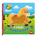 Ler O Pônei Manchinha: Toque e Sinta, do autor Viviane Machado