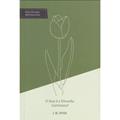 Ler O Que É A Filosofia Calvinista?, do autor J. M. Spier