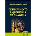 Ler Desmatamento e Queimadas na Amazônia, do autor Lilian Rose Lemos Rocha