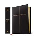 Ler Bíblia de Estudo NVT (Nova Versão Transformadora): Capa Preta, do autor Mundo Cristão