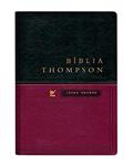 Ler Bíblia Thompson - AEC - Letra Grande - Verde e Vinho - Com Índice, do autor Frank Charles Thompson