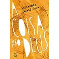 Ler A coisa não-Deus, do autor Alexandre Soares Silva