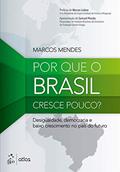Ler Por que o Brasil Cresce Pouco?, do autor Marcos Marcos Mendes