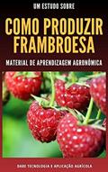 Ler COMO PRODUZIR FRAMBOESA | Manual Completo com Todos os Metodos de Cultivo, do autor DARE AGRO