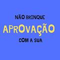 Ler NÃO BRINQUE COM A SUA APROVAÇÃO!: OS SEGREDOS DE UM APROVADO, do autor LUIZ FILIPE CORREA REIS