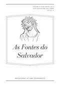 Ler As Fontes Do Salvador, do autor Monsenhor Álvaro Negromonte