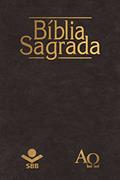 Ler Bíblia Sagrada - Almeida Revista e Corrigida 1969: Com notas de tradução e referências cruzadas, do autor Sociedade Bíblica do Brasil