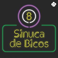 Sinuca de Bicos, do autor Thiago Queiroz