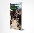 Ler ELIMINANDO AS BRECHAS ILEGAIS DO MAL, do autor JESILENE RODRIGUES