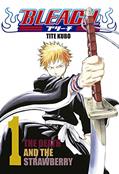 Ler Bleach - vol. 1, do autor Tite Kubo