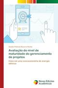 Ler Avaliação do nível de maturidade do gerenciamento de projetos: Case em uma concessionária de energia elétrica, do autor Sandra Patrícia Bezerra Rocha