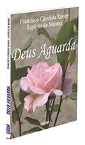 Ler Deus Aguarda, do autor Capa Comum