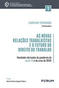 Ler As Novas Relações Trabalhistas e o Futuro do Direito do Trabalho: Novidades derivadas da pandemia da covid-19 e da crise de 2020, do autor Carolina Tupinambá