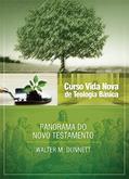 Ler Curso Vida Nova de Teologia Básica - Vol. 3 - Panorama do Novo Testamento, do autor Walter M. Dunnett Ler Curso Vida Nova de Teologia Básica - Vol. 3 - Panorama do Novo Testamento, do autor Walter M. Dunnett