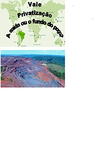 Ler Vale: Privatização. A saída ou o fundo do poço?, do autor Adilson Motta