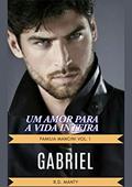 Ler GABRIEL FAMÍLIA MANCINI VOL. 1: UM AMOR PARA A VIDA INTEIRA, do autor R.D. MANTY