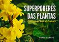 Ler Superpoderes das Plantas: Exemplos de Fitomacrossoma, do autor Sonia Cerato Ler Superpoderes das Plantas: Exemplos de Fitomacrossoma, do autor Sonia Cerato