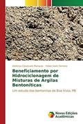 Ler Beneficiamento por Hidrociclonagem de Misturas de Argilas Bentoníticas: Um estudo das bentonitas de Boa Vista, PB, do autor Cavalcanti Marques Verônica; Sivini Ferreira Heber