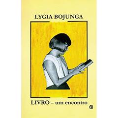 Livro. Um Encontro, do autor Lygia Bojunga