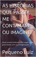Ler AS HISTÓRIAS QUE PASSEI, ME CONTARAM OU IMAGINEI: Doze contos eróticos e um super conto para mexer com sua imaginação!, do autor Pequeno Luiz