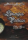 Ler Sinergias Poéticas, do autor Alberto dos Anjos Costa