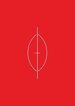 Vermelho Infinito: em delírios e espasmos (Em delírios e espamos Livro 1), do autor Carla Cunha