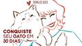 Ler Conquiste seu gato em 30 dias, do autor Doralice Goes Goes