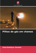 Ler Pilhas de gás em chamas, do autor Shad Bakhtyar Ibrahim